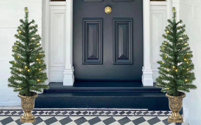 Porch Christmas Trees