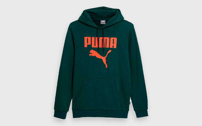 Puma Mens Long Sleeve Hoodie in Malachite Color