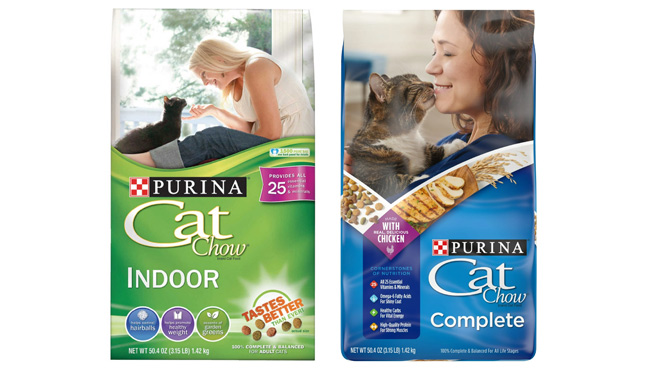 Purina Cat Chow Immune Health Indoor Dry Cat Food