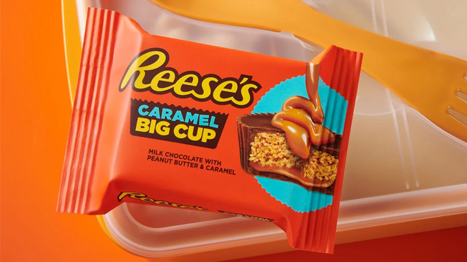 Reese's Big Cup Caramel Milk Chocolate Peanut Butter Cup