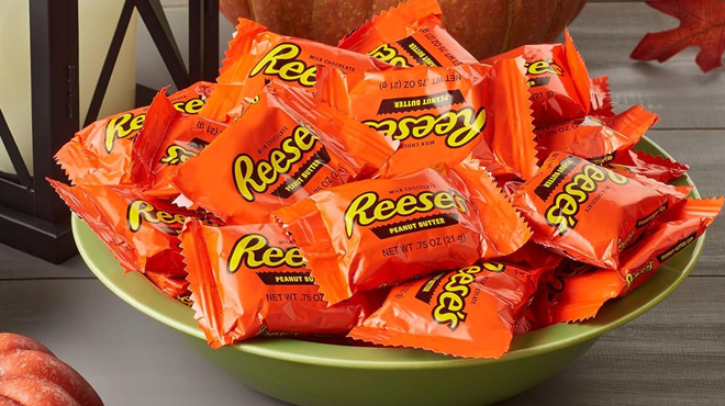 Reeses Milk Chocolate Snack Size Peanut Butter Cups 2