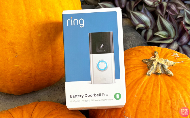 Ring Battery Doorbell Pro on Top of Pumpkins