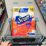 Scott Pack of Toilet Papers at Cart in Walgreens