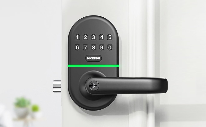 Smart Keypad Door Lock in Black