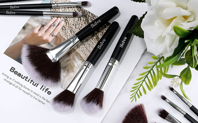 Solve Professional Makeup Brushes on a Table