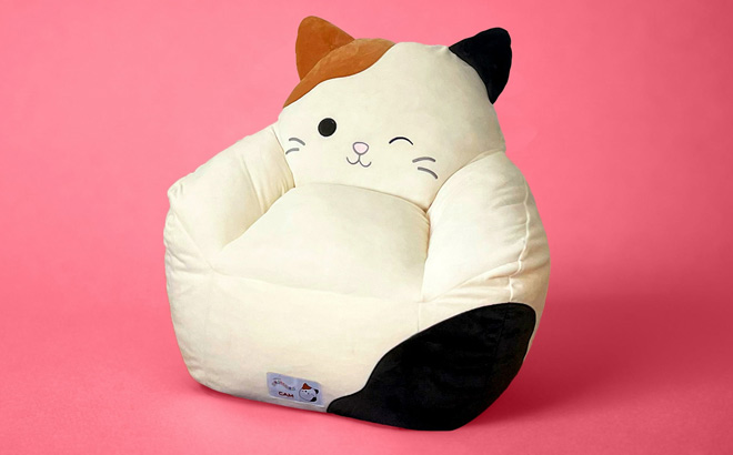 Squishmallows Bean Bag Chair Cam