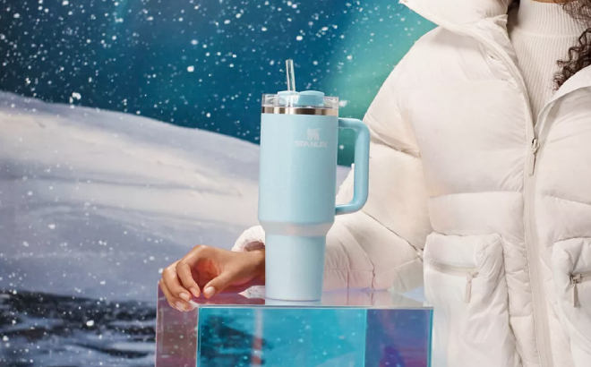 Stanley Winter Wonderland Quencher H2 0 FlowState Tumbler