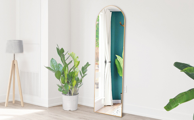 Sweetcrispy Arched Full Length Mirror 5922x1622 Full Body