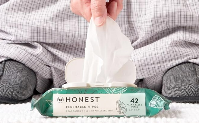 The Honest Company Clean Conscious Unscented Wipes Over 99 Water Compostable Plant Based