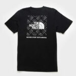 The North Face Box NSE Mens Tee