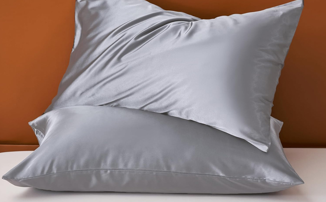 Two Netcken Satin Pillowcases