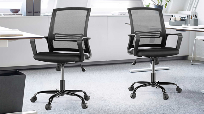 Two Office Chairs in the Office