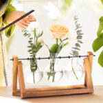 XXXFLOWER Plant Terrarium with Wooden Stand