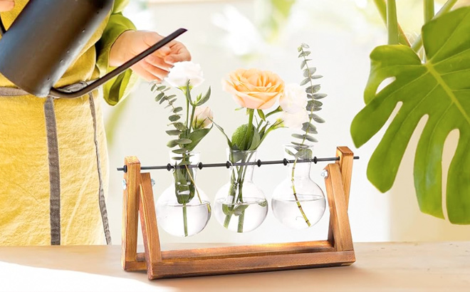 XXXFLOWER Plant Terrarium with Wooden Stand