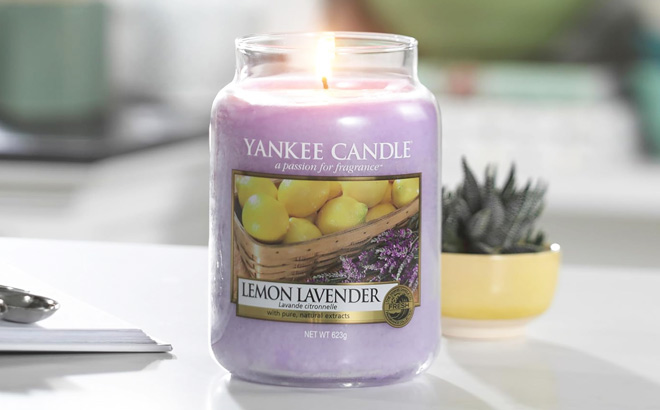 Yankee Large Jar Candle