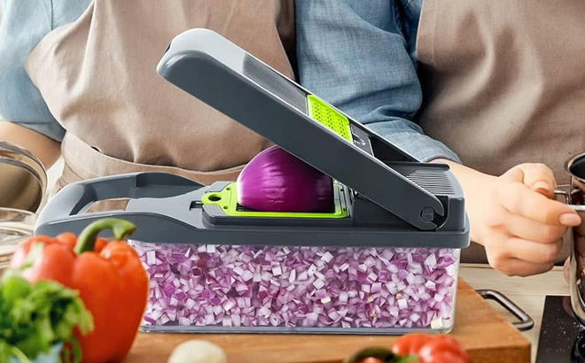 13 in 1 Food Chopper