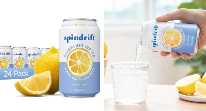 24 Pack of Lemon Flavored Spindrift Sparkling Water