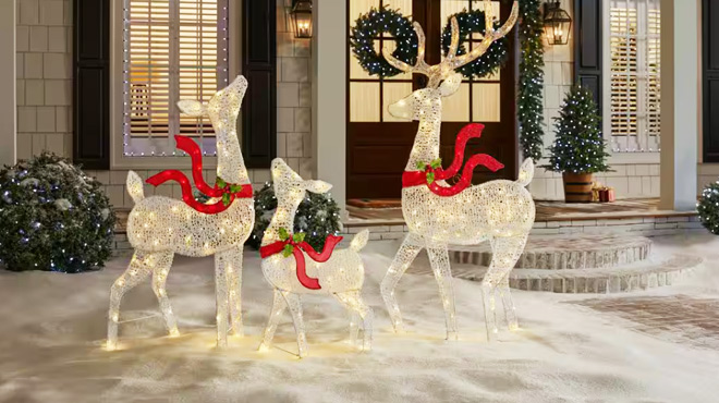 3 Piece LED Deer Family Holiday Yard Decoration