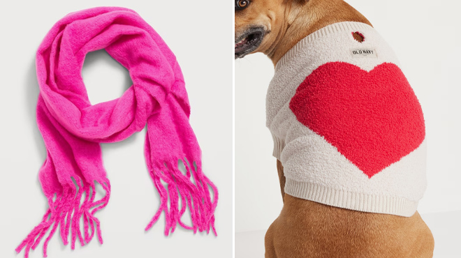 4 Old Navy Fringed Scarf and Cozy Printed Sweater for Pets