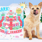 A Dog Next to a BarkBox Seasons Sweetings Advent Calendar