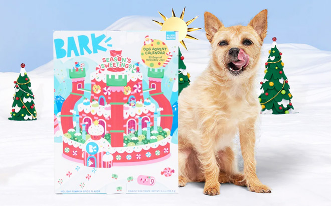 A Dog Next to a BarkBox Seasons Sweetings Advent Calendar