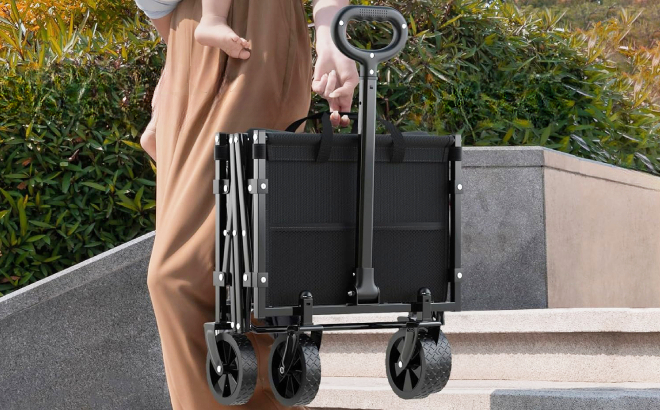 A Person Carriying a Foldable Wagon