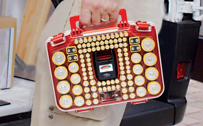 A Person Carrying the Ontel Battery Daddy Smart Battery Organizer Storage Case with Tester