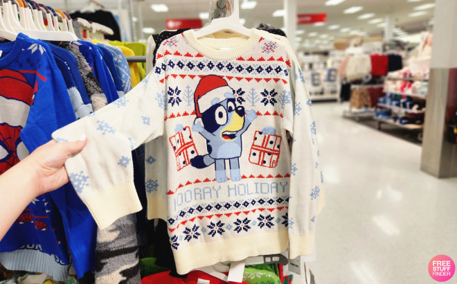 A Person Holding a Bluey Toddler Girls Holiday Pullover Sweater