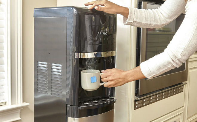 A Person Using Primo Deluxe Bottom Load Black and Stainless Water Dispenser