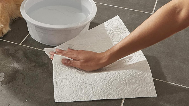 A Person Wiping the Floor Using a Brawn Paper Towel