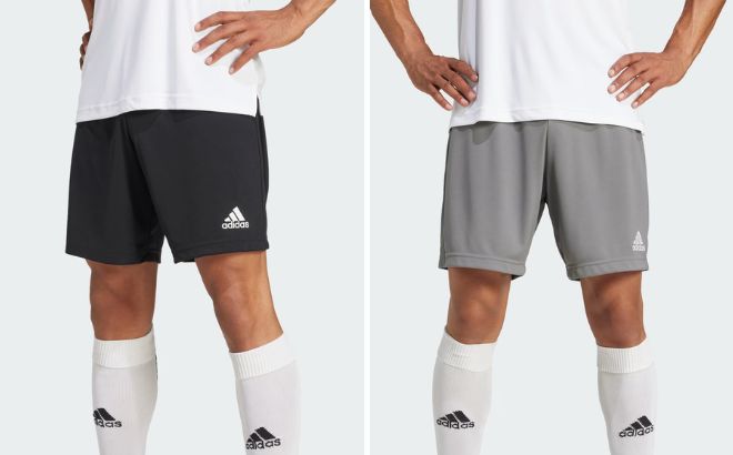 Adidas Mens Entrada 22 Shorts