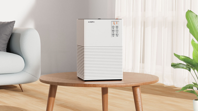 Air Purifier for Large Rooms