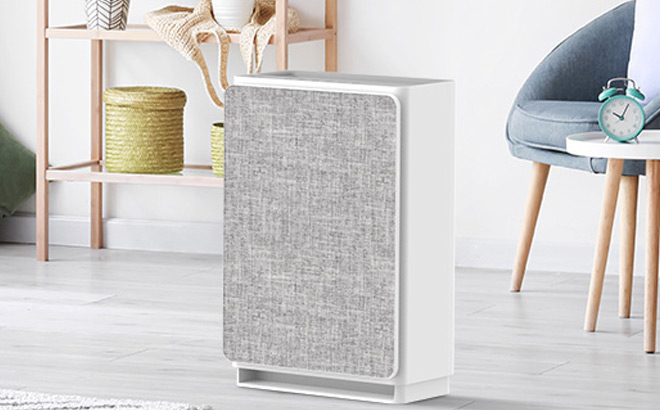 Air Purifier in a Living Room