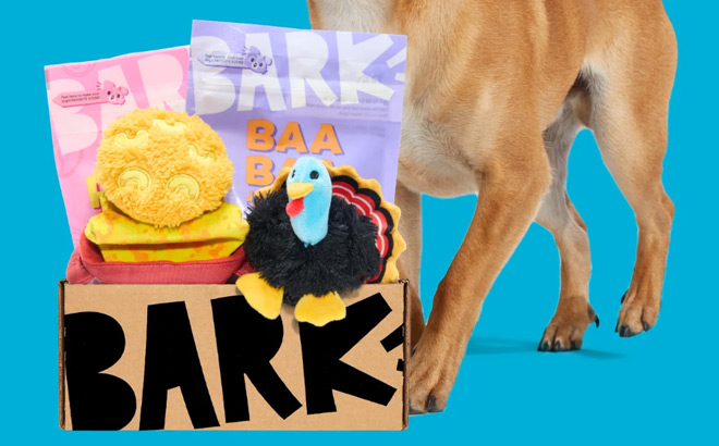 BarkBox Dog Subscription Box