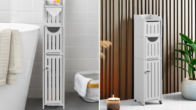 Bathroom Storage Cabinet 