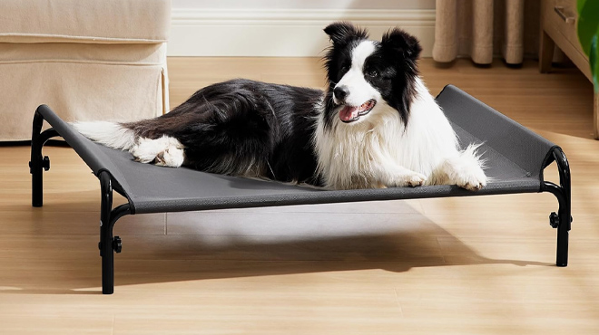 Bedsure Elevated Raised Outdoor Dog Bed