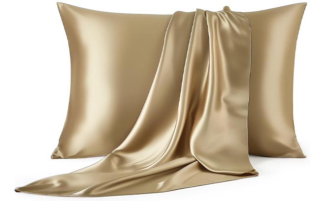 Bedsure Silk Pillowcase in Brown Color