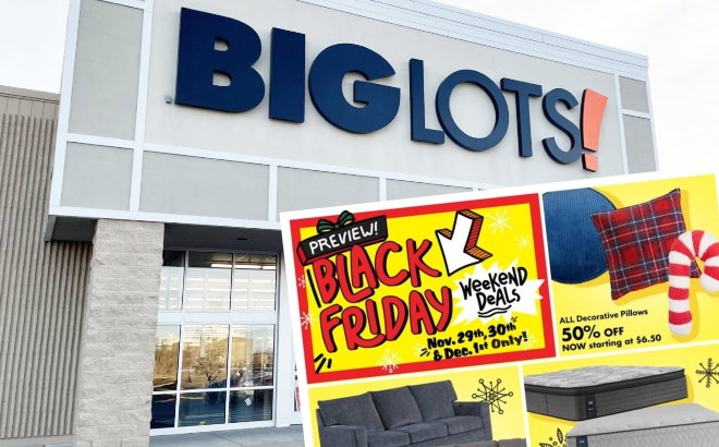 Big Lots Black Friday Ad Scan 2024 Storefront