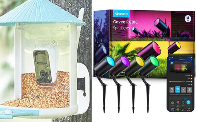 Birdfy Smart Bird Feeder with Camera and Govee RGBIC Spotlights 4 Pack