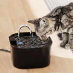 Cat Water Fountain