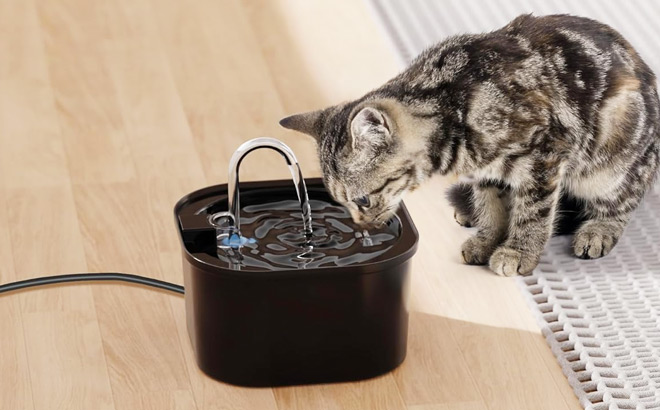 Cat Water Fountain