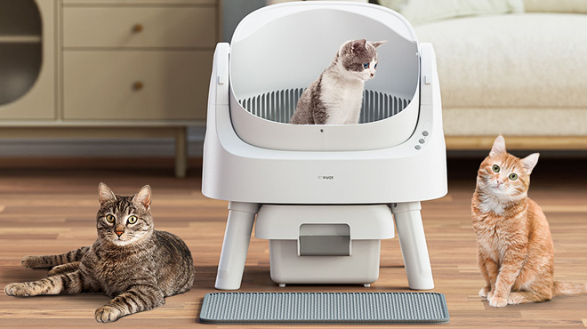 Cats Standing Next to the PetPivot Self Cleaning Cat Litter Box