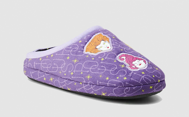 Disneys Hocus Pocus Womens Slippers on a Grey Background