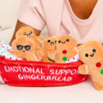 Emotional Support Gingerbread Plushies in a Carrier Carton