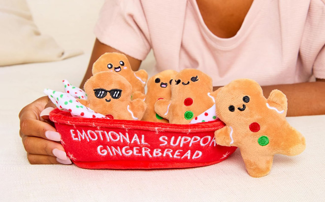 Emotional Support Gingerbread Plushies in a Carrier Carton