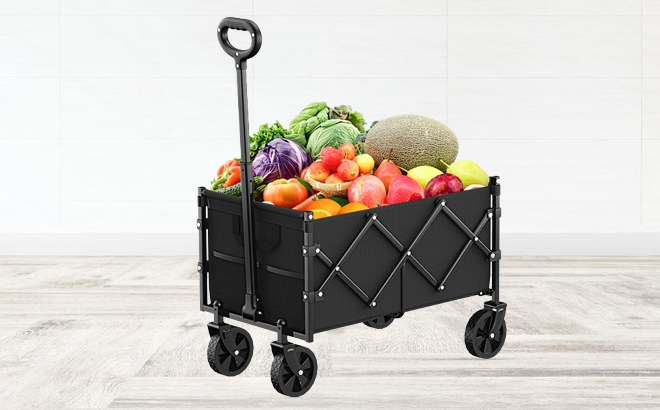 Foldable Wagon