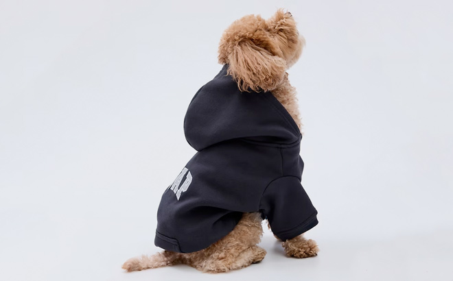 Gap Logo Pet Hoodie