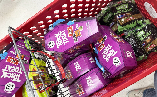 Halloween Chocolate Candy Bags in Cart at Target