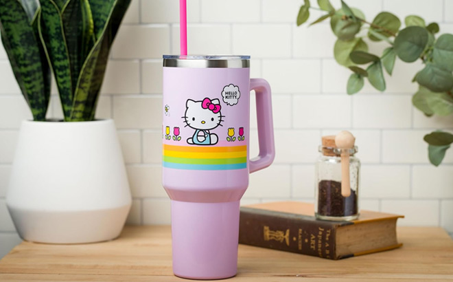 Hello Kitty Spring and Summer Stainless Steel Tumbler