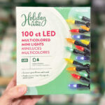 Holiday Living 100 Count Multi Color LED String Christmas Lights